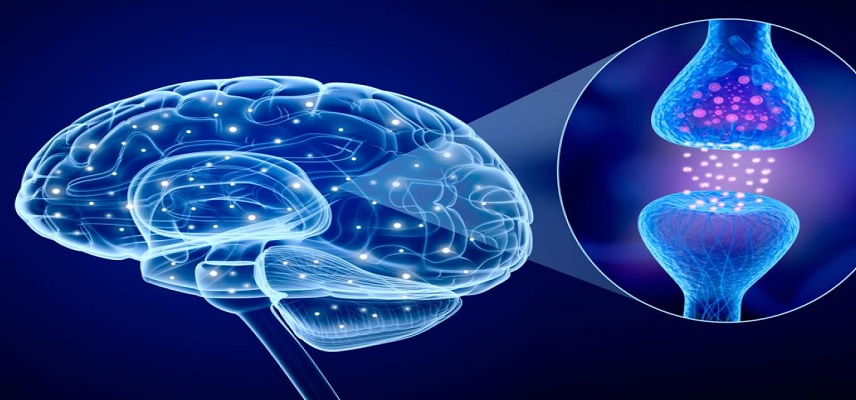 Bluerock Gets Positive Phase I Trial Data for Bemdaneprocel